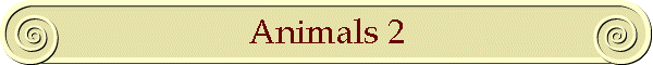 Animals 2