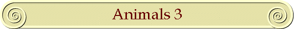 Animals 3