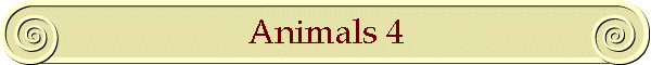 Animals 4