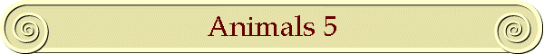 Animals 5